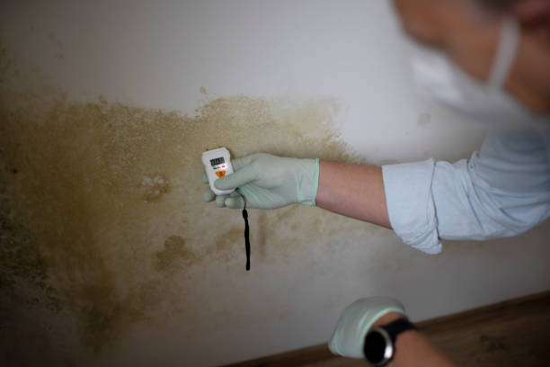 Best Commercial Mold Inspection  in Pottsgrove, PA